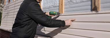 Best Siding Painting and Refinishing  in Olivarez, TX